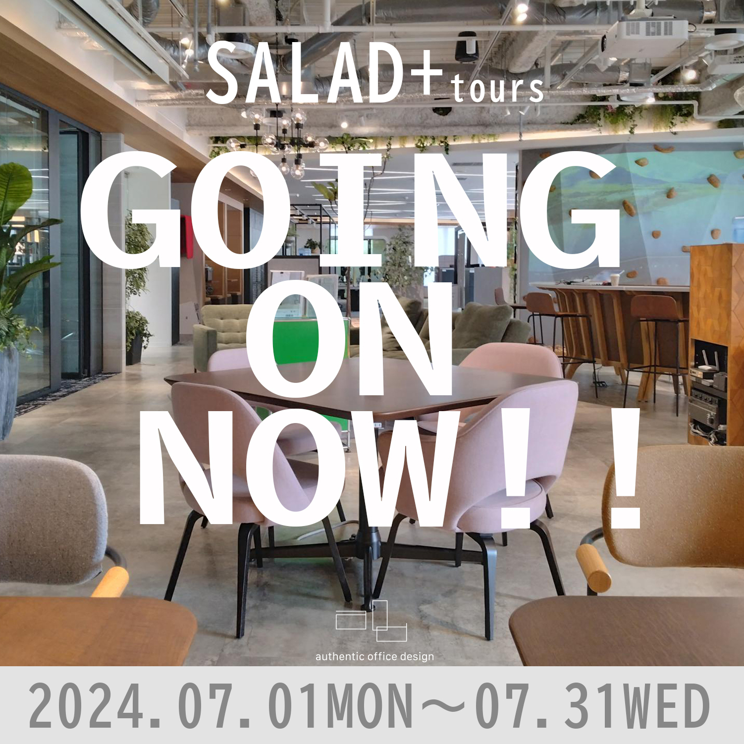 - GOING ON NOW !!  -
2024.07.01MON～07.31WED
オフィス見学会　好評開催中